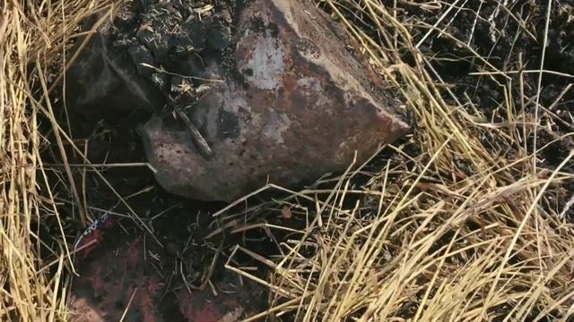 В поисках металлических ништяков с металлоискателем TX850 смотреть онлайн