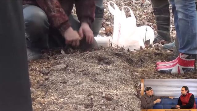 Природное земледелие. Где взять настоящие овощи?