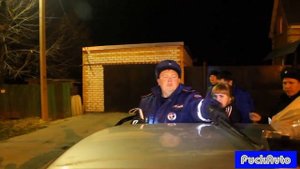 Сколько пинчеров на базе