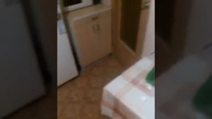 чтобудет если съесть молоко с огурцом .чать 1. били тв 11