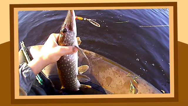 Рыбалка лето 2017 смотреть онлайн