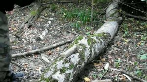 Правильный Вектор, товарищи!🔪🔥 Эксклюзивный нож Вектор от Kizlyar Supreme.