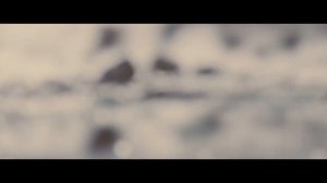 Деметрий Вольтури || Demetri Volturi - My demons