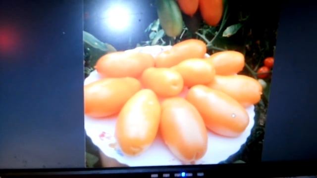 Выписала новые семена)))))))))))) смотреть онлайн