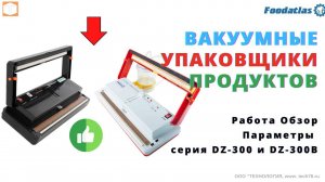 #Вакуумный #упаковщик DZ 300A и DZ-300B Foodatlas Pro Обзор Сравнение Работа Функциональность