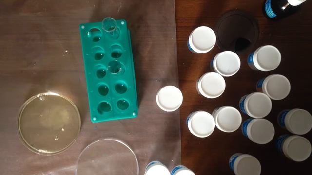 опыт на наличие белка смотреть онлайн