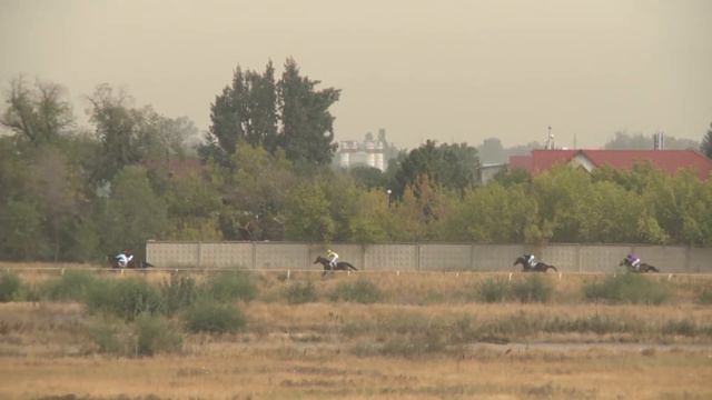 Скачка № 1 18 09 21 01 смотреть онлайн