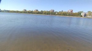 Shimano Exsence DC обзор. Нормальный DC?!