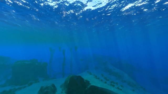 The new SILENCE LEVIATHAN in Subnautica: Call of the void! | Shard #1 смотреть онлайн