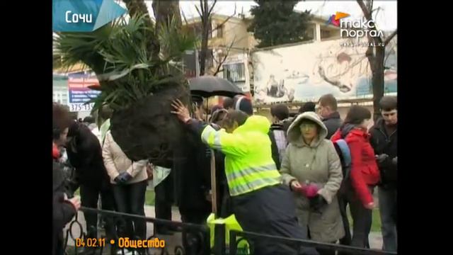 Стипендиаты фонда Потанина посадили в Сочи 10 пальм