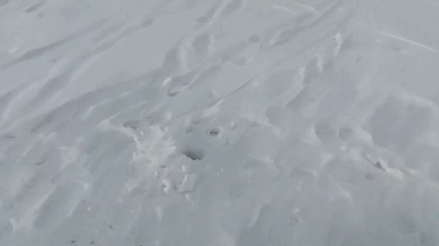 Глухое Новосибирск 05.02.22 закономерность отсутствует смотреть онлайн