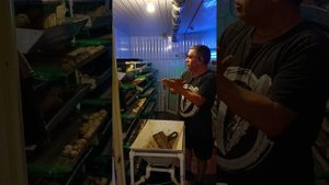 плюсы и минусы клеток для перепелов