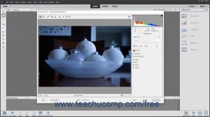 Photoshop Elements 2020 Tutorial Camera Raw Treatments and Profiles Adobe Training