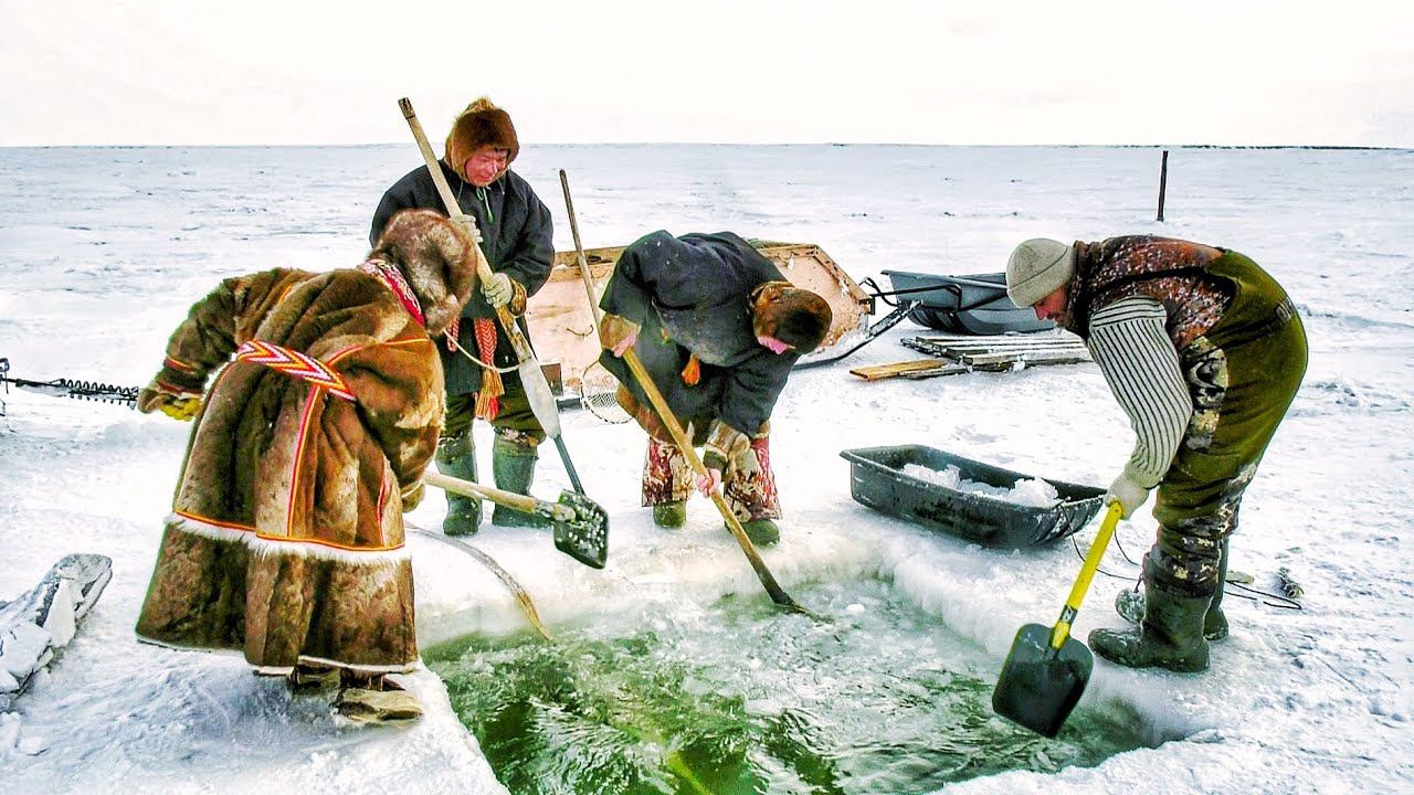 Рыба в карском море - фото