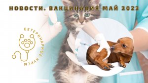 Новости. Вакцинация май 2023