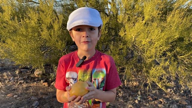 Crazy Fantastic Pepino Melon Adventure!!😂😂😂 смотреть онлайн