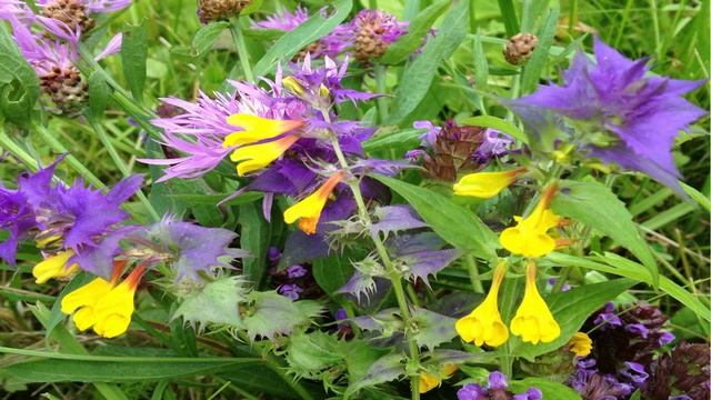 Мастер класс Картина Любви смотреть онлайн