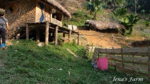 Single mother - Raising 2 small children alone, harvesting vegetables to sell - Jena Farm