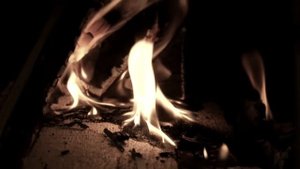 РОГАТЫЙ ХОДИТ ПО ЛЕСУ - Страшные истории на ночь | Мистика | Ужасы