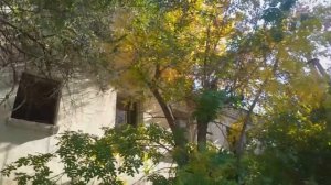 Заброшенные здания Саратова