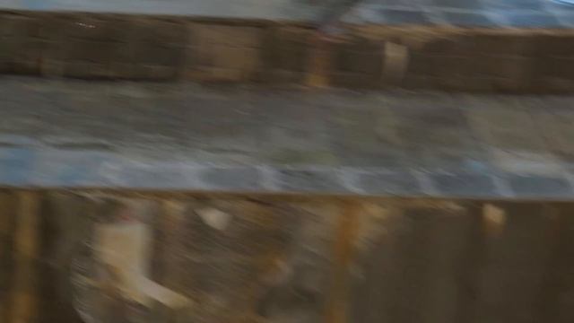 Надо немного шубку почистить 07.10.2019 смотреть онлайн