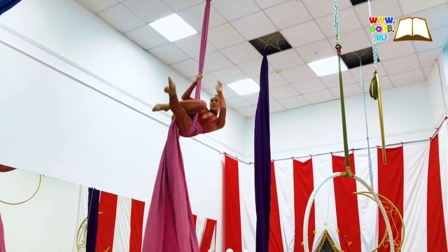 Видеопредставление от  студии  современного циркового искусства «Цирковой шик»