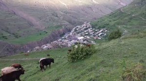 Чародинский район. село Магар