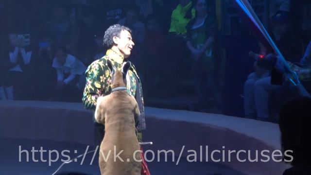 Цирк Кобзов Харьков 2016 WOOZU - Кенгуру (11/19) Circus 馬戲團 смотреть онлайн