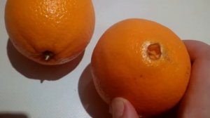 Как выбрать вкусные апельсины. Почковидные апельсин