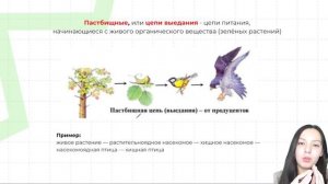 Пищевые цепи для ЕГЭ | Биология ЕГЭ 2024 | PARTA