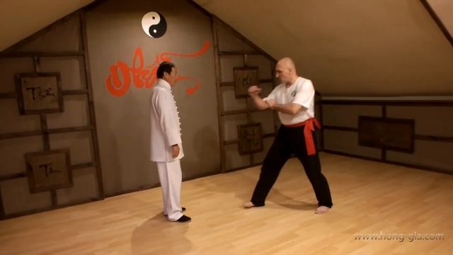 Стиль ЖУРАВЛЬ (Crane), школа кунг-фу Hong-Gia Vietnam (2015 Минск). смотреть онлайн