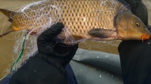 Рыбалка на Сети, Весна 2020, Рыбалка на сети с fisherman dv. 27 rus