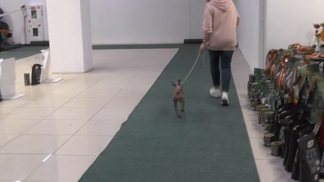 00115 хох Кар смотреть онлайн