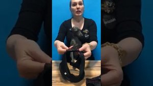 Трусы для собак