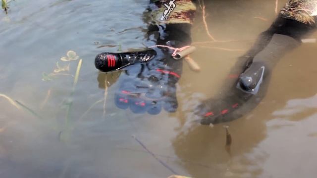 Тритоны в Крыму смотреть онлайн