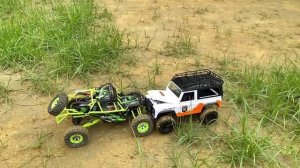 Wltoys 12427 vs MN99 Crawler | Remote Control Car | RC Car 4x4