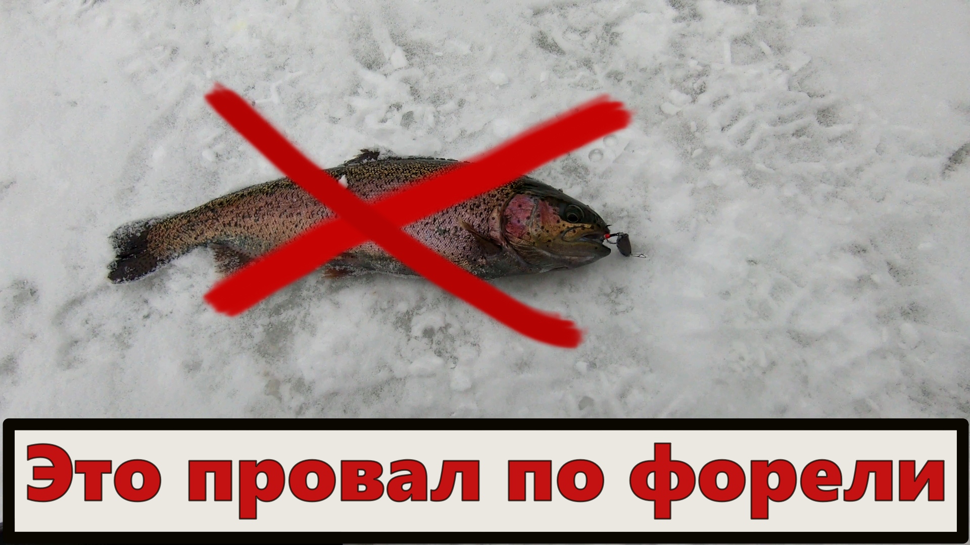 Это провал по форели. Подводная съёмка. смотреть онлайн