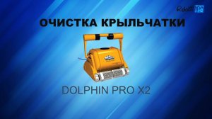 Очистка крыльчатки Dolphin Pro X2