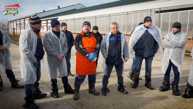 Копытный сервис  Мастер класс по обрезке копыт КРС