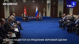 Эрдоган выразил надежду на продление зерновой сделки