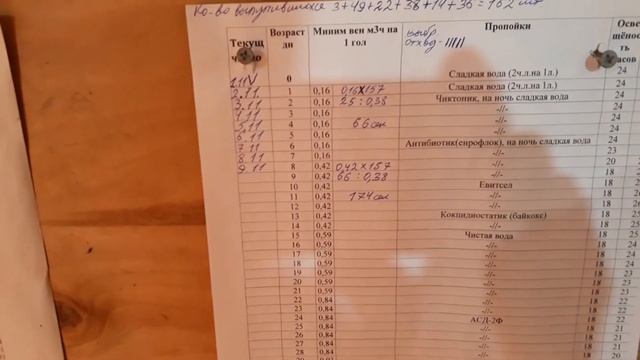 ??Контроль микроклимата при выращивании бройлеров!