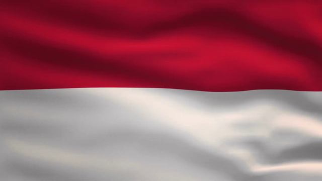 Monaco Country Flag Animation | 8k | Flags of the World смотреть онлайн