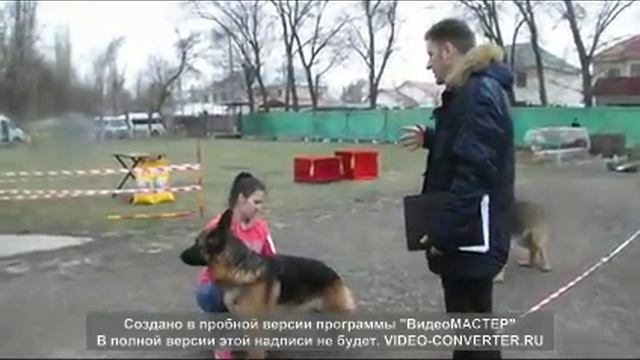 негус в норд траум смотреть онлайн