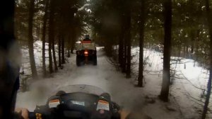 Stels leopard 600Y , Stels rosomaha S800