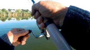 Вот это приманка!! Ловля большого сома на спиннинг.