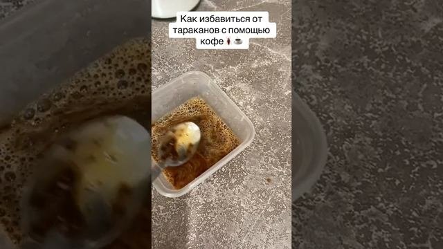 от тараканов средство