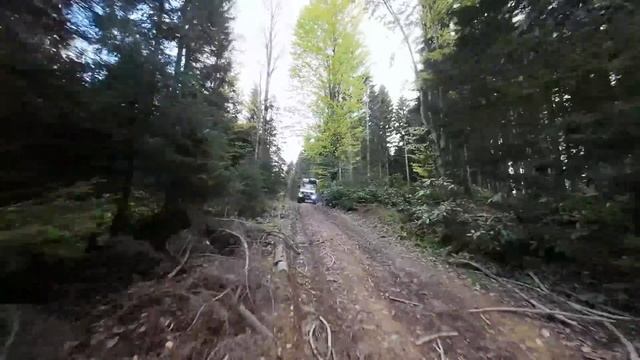 YILLARDIR GİRİLEMEYEN ORMANA GİRDİK | BATAKLIKTA DEVRİLİYORDUK смотреть онлайн