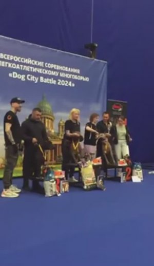 Пит-стафф многоборье DogCityBattle в Экспофоруме 24-25.02.2024