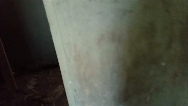 Заброшенный пионерлагерь «Ласточка». В Румянцево.