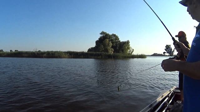 Ловим щуку по траве. Советы от Дмитрия Корзенкова. Как правильно оснастить мега силикон LJ Kubira? смотреть онлайн